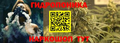 гидра Бийск